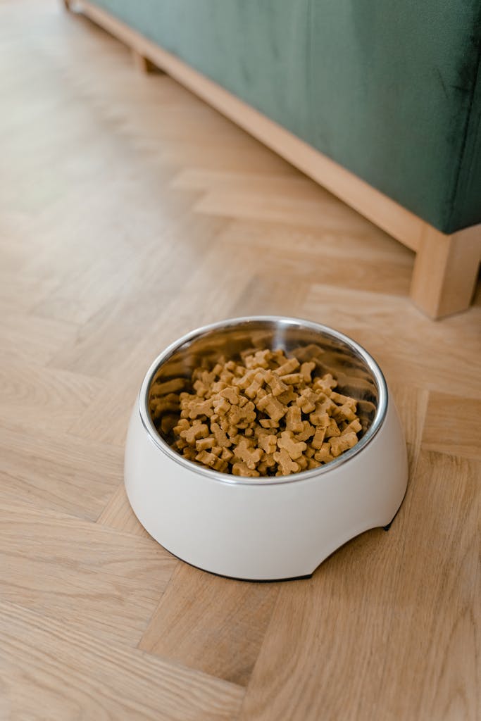 Heim A bowl filled with dog food placed on a wooden floor, showcasing pet care essentials.